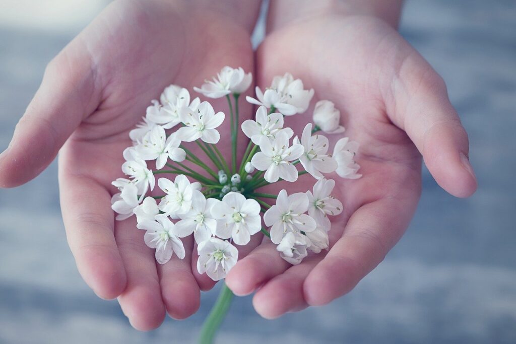 Flower offering, representing rebirth and blossoming